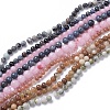 Natural Gemstone Beads Strands G-F591-03-2