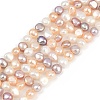 Natural Cultured Freshwater Pearl Beads Strands PEAR-P064-19G-02M-2