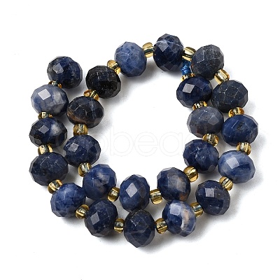 Natural Sodalite Beads Strands G-D105-B09-01-1