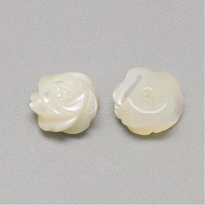 Natural White Shell Mother of Pearl Shell Cabochons SSHEL-R042-11-1