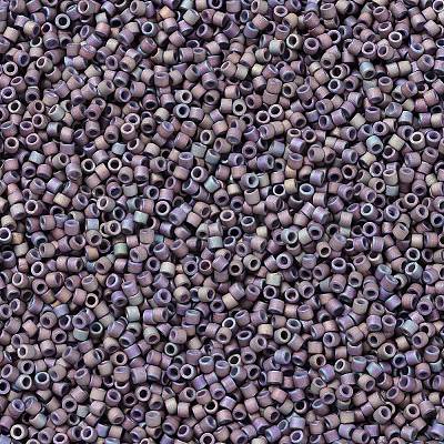 MIYUKI Delica Beads X-SEED-J020-DB1067-1