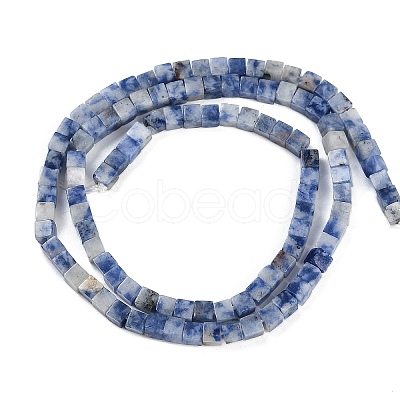 Natural Blue Spot Jasper  Beads Strands G-B129-A10-01-1