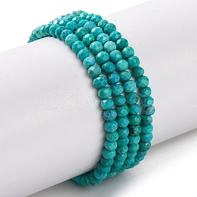 Natural Howlite Beads Strands G-H025-03A-02-1