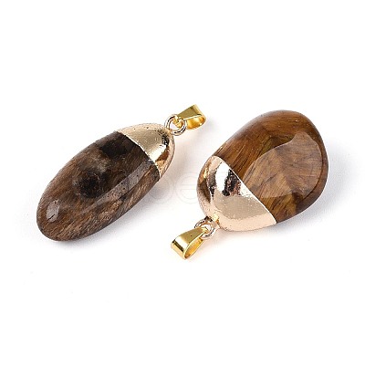 Natural Tiger Eye Pendants G-N360-05G-07-1