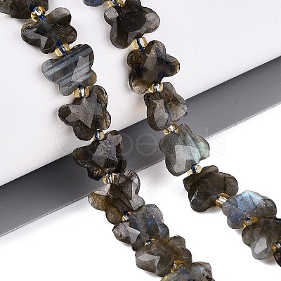 Natural Labradorite Beads Strands G-N371-10A-01-1