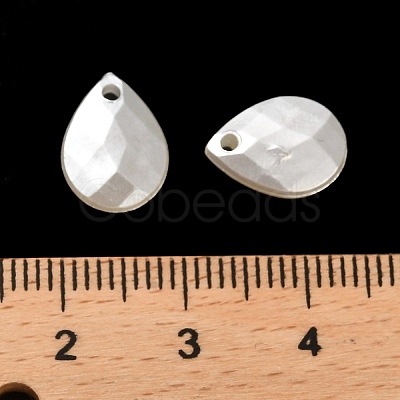 ABS Acrylic Pendants OACR-Z016-02-1