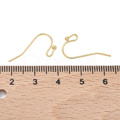 SHEGRACE Brass Earring Hooks XGR0138G-154G-1