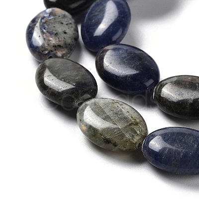 Natural Sodalite Beads Strands G-L164-A-20-1