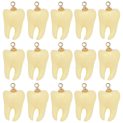 20Pcs Opaque Resin Pendants FIND-SC0023-17-1