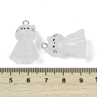 Luminous Resin Pendants RESI-R460-01A-1