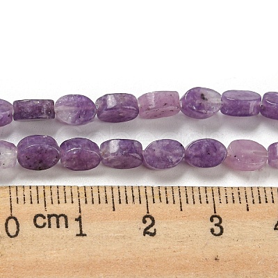 Natural Lepidolite/Purple Mica Stone Beads Strands G-M420-H12-03-1