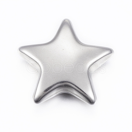Tarnish Resistant 304 Stainless Steel Beads STAS-G179-10P-1