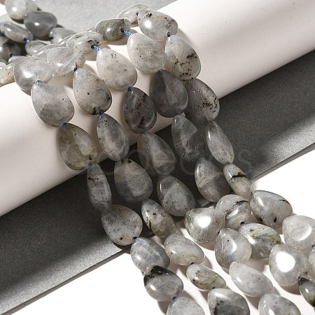 Natural Labradorite Beads Strands G-I377-A21-1
