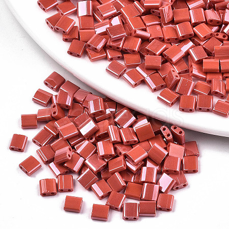 FGB 2-Hole Glass Seed Beads SEED-S031-L-ST125-1