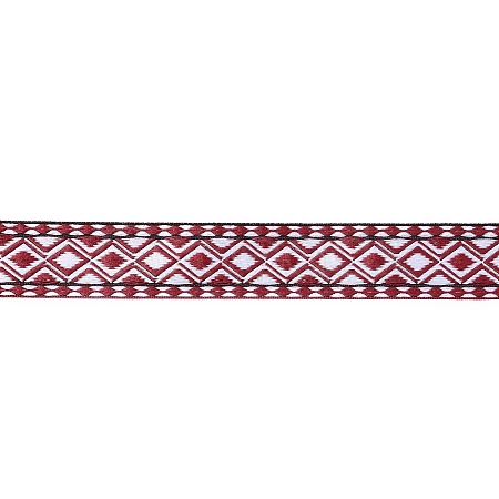 Ethnic Style Embroidery Polyester Ribbons SRIB-XCP0001-18-1