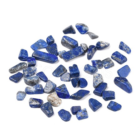 Natural Lapis Lazuli Beads G-I304-02-1