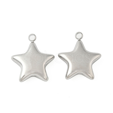 304 Stainless Steel Pendants STAS-S186-01B-P-1