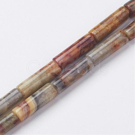 Natural Crazy Lace Agate Bead Strands G-G968-F11-1