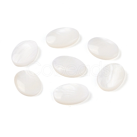 Natural Freshwater Shell Cabochons BSHE-G036-10A-1