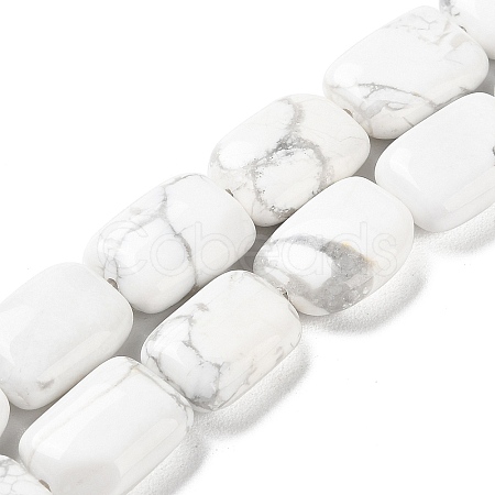 Natural Howlite Beads Strands G-K357-D05-01-1