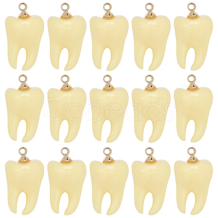 20Pcs Opaque Resin Pendants FIND-SC0023-17-1