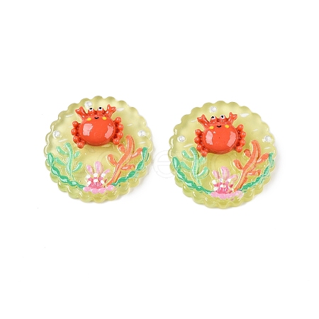 Ocean Theme Flat Round Resin Cabochons CRES-T025-02I-1