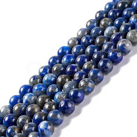 Natural Lapis Lazuli Round Beads Strands X-G-I181-09-6mm-1