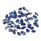 Natural Lapis Lazuli Beads, No Hole/Undrilled, Chip, 8.5~23.5x7~8x2~7mm, about 704pcs/500g