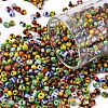 8/0 Glass Seed Beads SEED-S006-M-1