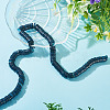 1 Strand Natural Freshwater Shell Beads Strands SHEL-TA0001-35E-5