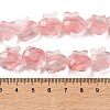 Inner Flower Handmade Lampwork Beads Strands LA-CBA3F7A-01F-4
