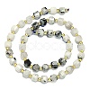 Natural Moonstone Beads Strand G-I376-D81-01-2