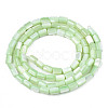 Natural Trochid Shell/Trochus Shell Beads Strands SHEL-N003-26-B08-2