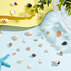 6 Styles Natural Shell Beads Display Ornaments SHEL-PH0001-46-4