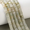 Natural Chinese Jade Southern Jade Beads Strands G-M420-A22-01-1
