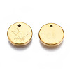 316 Surgical Stainless Steel Charms STAS-S116-418A-G-3