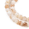 Natural Freshwater Shell Beads Strands SHEL-T011-02-6mm-3