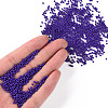 11/0 FGB Grade A Baking Paint Glass Seed Beads X-SEED-N001-A-1010-4