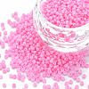 13/0 Glass Seed Beads SEED-T005-14A-A12-1