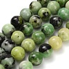 Natural Serpentine Beads Strands G-Z110-C04-10mm-2