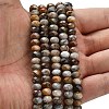 Natural Gobi Agate Beads Strands G-Z111-A55-2