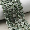 Natural Green Spot Jasper Beads Strands G-B138-C24-01-1