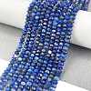 Natural Lapis Lazuli Beads Strands G-L587-B03-02-3