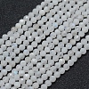 Natural Rainbow Moonstone Beads Strands X-G-E411-08-3mm-1