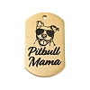 201 Stainless Steel Pendants STAS-R002-02G-04-1