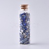 Glass Wishing Bottle DJEW-L013-A17-1