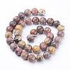 Natural Red Leopard Skin Jasper Beads Strands GSR10mmC066-3