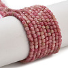 Natural Rhodonite Beads Strands G-H042-B43-01-1