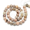 Natural Sun Stone Beads Strands X-G-S150-23-6mm-2