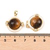 Natural Tiger Eye and Freshwater Shell Pendants KK-H538-24B-G-3